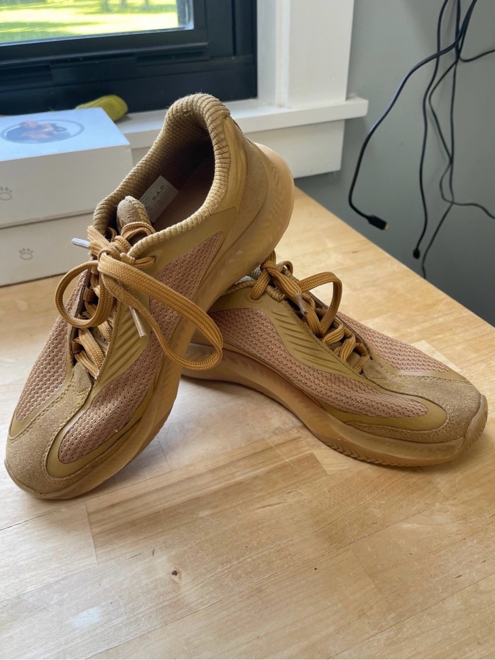 RAD Global V1 Shoes